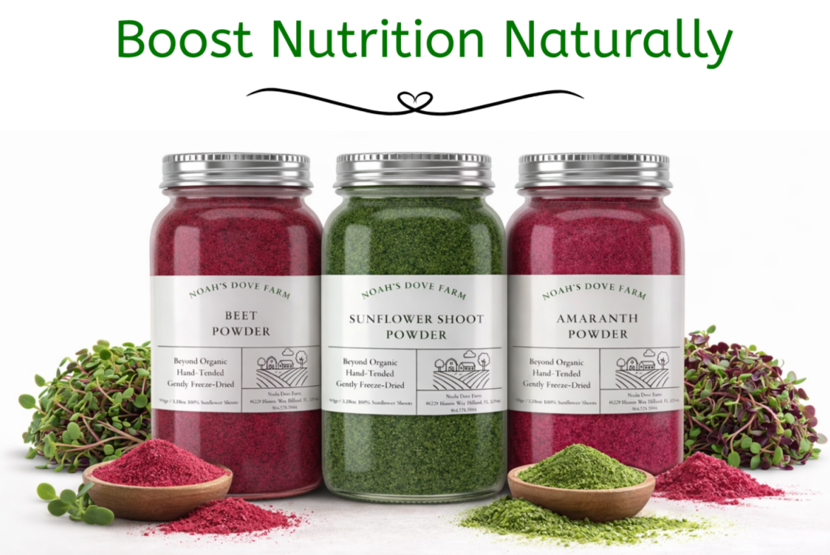 Noah's Dove Farm microgreen powder jars
