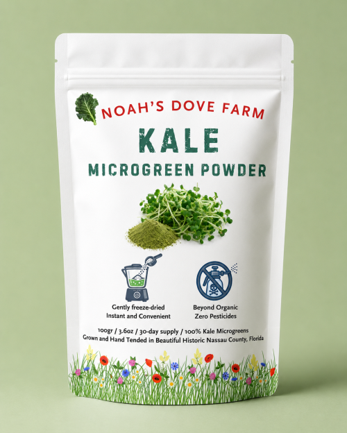 Kale Microgreen Powder